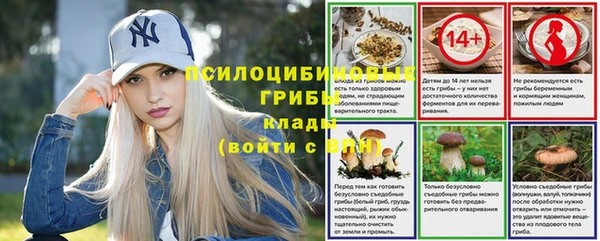 гидропоника Белоозёрский