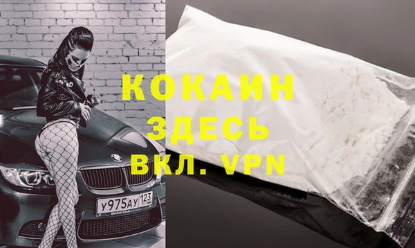индика Приозерск