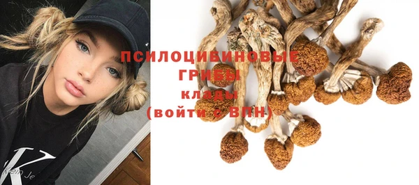Альфа ПВП Беломорск
