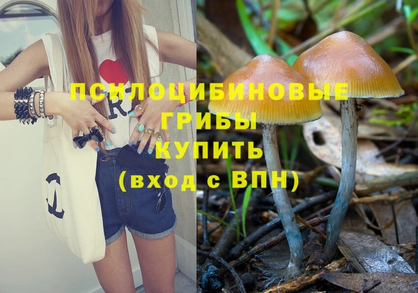 гидропоника Белоозёрский